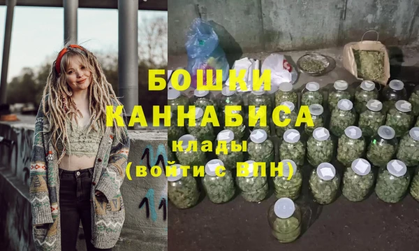 шишки Михайлов
