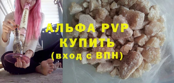 стафф Михайловск