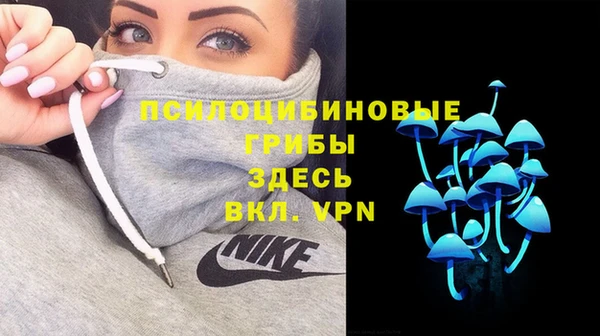 стафф Михайловск