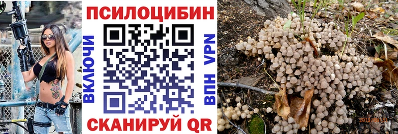 Псилоцибиновые грибы прущие грибы  Воткинск 